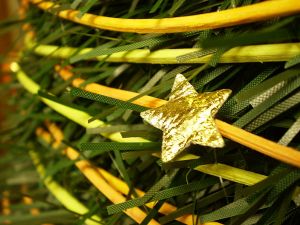 v�no�n� strome�ek na v�noce